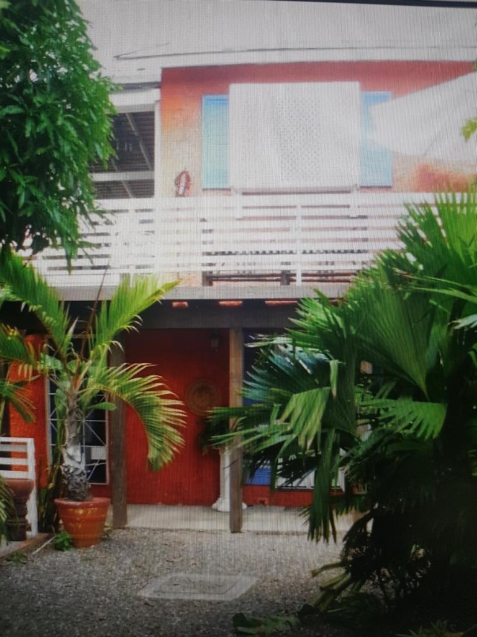 Mikuzi Hotel Kingston Exterior photo
